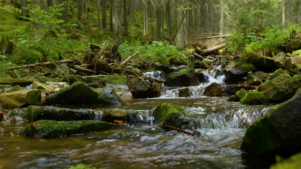 Mountain Stream with Crystal Clear Water in the Forest