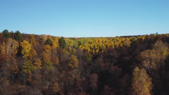 Aerial view of the Shiryaevsky ravine in the Samarskaya Luka national park.