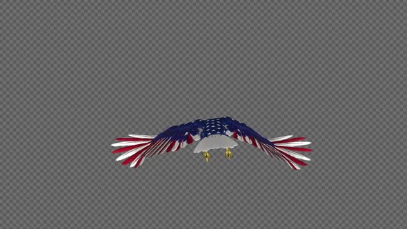 American Eagle - USA Flag - Flying Loop - Back View 4K