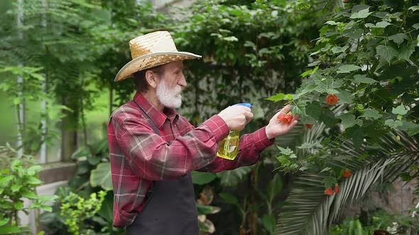 Bearded Man in Hat and Working Clothes with Apron Watering Blossoms
