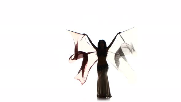 Beautiful Young Exotic Belly Dancer with Two Wings and Shaking Her Hips, on White, Silhouette