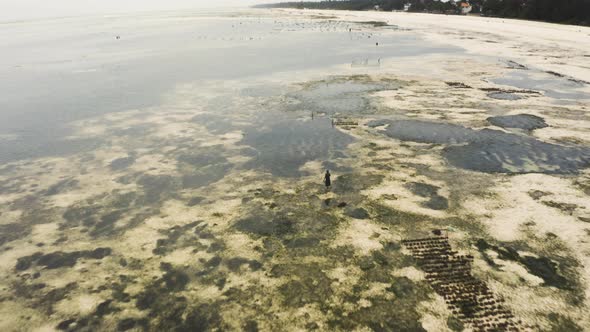 African woman foraging coastal seafloor for fish at low tide, zooming.