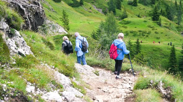 Family Excursion Along a Beautiful Mountain Landscape