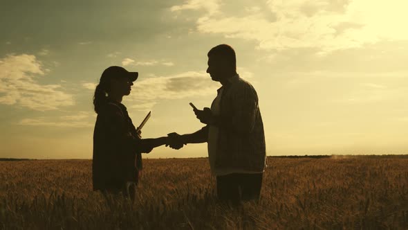 Silhouette Team Farmers Stand in a Wheat Field with Tablet at Sunset. Partnership Concept.