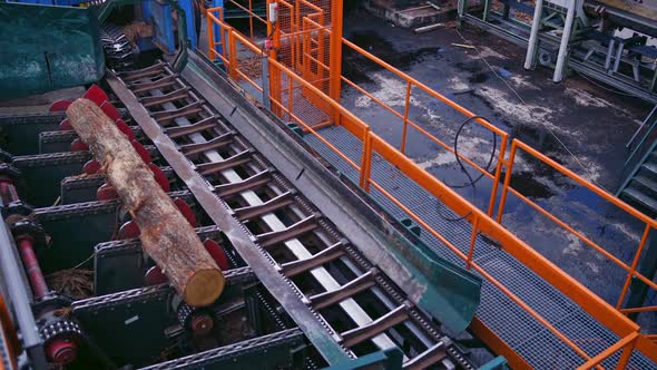 Power-saw bench. Wooden log is moving on a conveyor line on a sawmill.