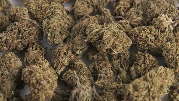 Close up shot of marijuana buds rotating top view. Medicinal herb and cannabis concept.
