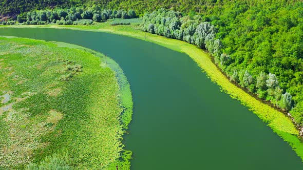 Blue River on Mountains Background on Crnojevica River in National Park of Montenegro Meandering