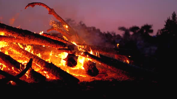 Big Campfire of the Branches Burn at Night in the Forest, Slow Motion