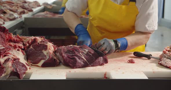 The Worker Separates The Veins From The Fillet Of The Meat. Meat Factory