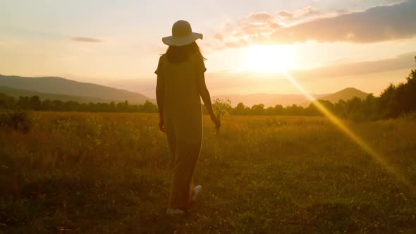 Rear View Female with Chamomiles Walks on the Field at Sundown