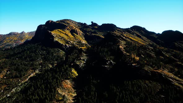 Panorama of Cone Forest at Mountains