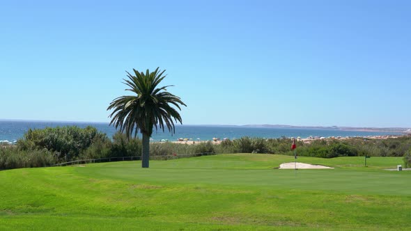 Shot of a Clean Green Golf Field with a Palm Tree and Vegetation Also a Beach in the Background