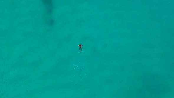 A person spearfishing above an artificial reef hunting for fish using a spear gun