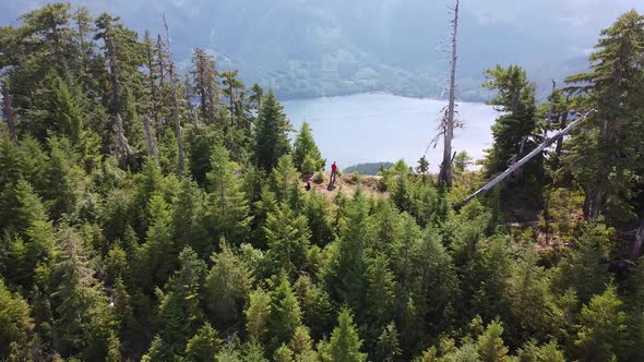 Aerial Forest on a Cliff - Thunder Mountain, Vancouver Island, BC, Canada