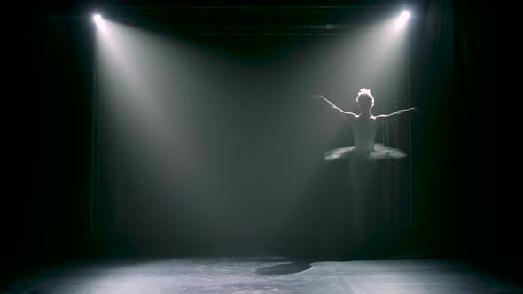 Classical Ballet Choreography Perfoming By Young Beautiful Graceful Ballerina in White Tutu