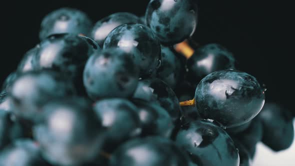 A Bunch of Blue Wet Grapes Spinning Slowly