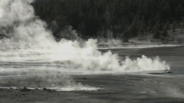 Fumaroles in Yellowstone National Park