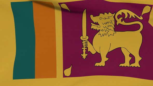 Flag Sri Lanka Patriotism National Freedom Seamless Loop