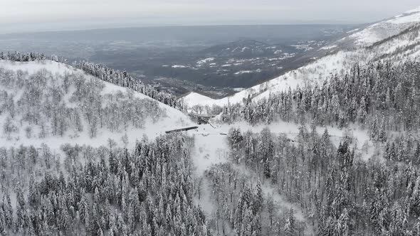 Aerial View of a Frozen Forest with Snow Covered Trees at Winter During Foggy Journey
