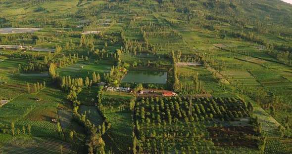 Artificial lake as water supplies for agriculture in the middle of tobbaco plantation and trees. It