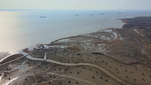 Aerial Wetland and Sea