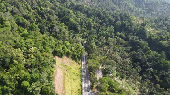 Aerial view asphalt road at green forest