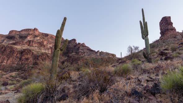 Saddle Mountain and Cacti - Tonopah, AZ - Day to Night Time-Lapse