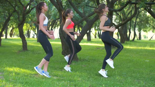 Group of girls jogging on the spot on a sunny day. Women working out in the park