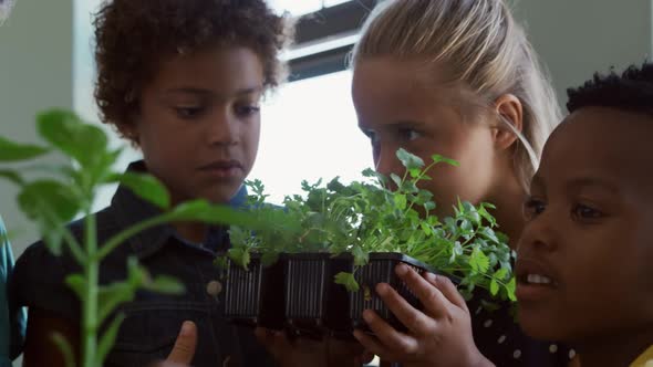 Group of kids holding plants in the class