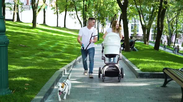 Young parents with baby stroller and dog walking in summer park