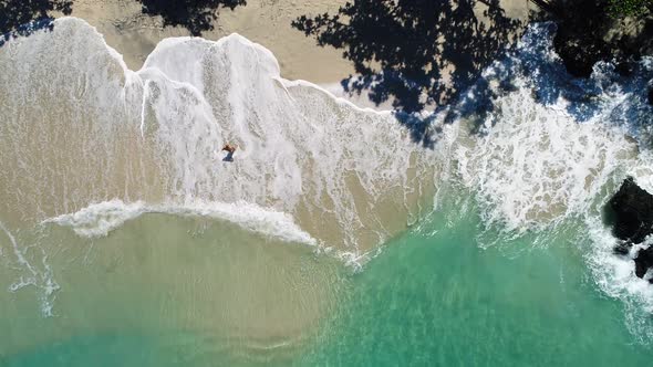 Beautiful Ocean Beach Landscape