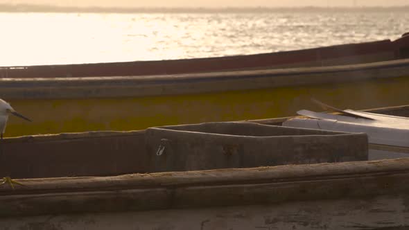 Egret perched on old fishing boat floating by at sunset in Port Royal Jamaica