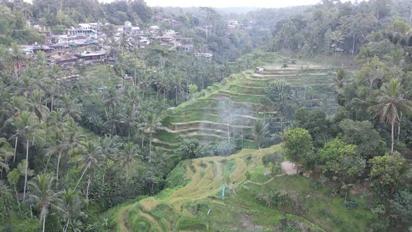 Aerial view of Tegalalang Bali rice terraces.