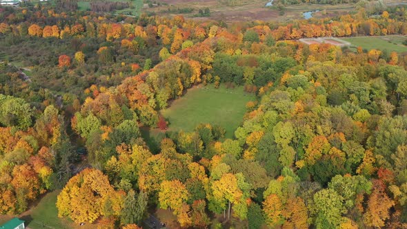 Autumn Landscape in Loshitsky Park in Minsk