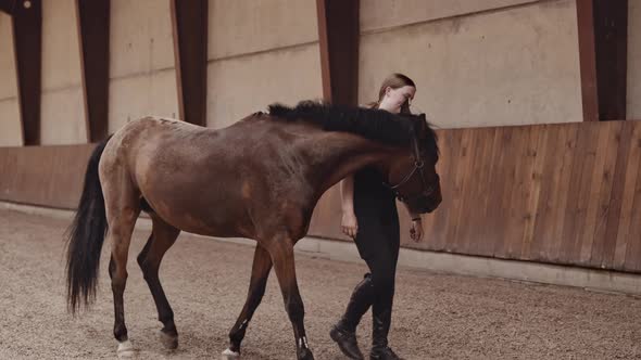 Young Woman And Horse Walking Around Paddock