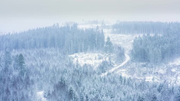 AERIAL - Snowfall over a beautiful forest in Sweden, wide spinning shot