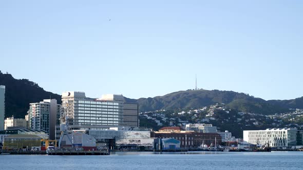 Landscape of Wellington Harbour in New Zealand.