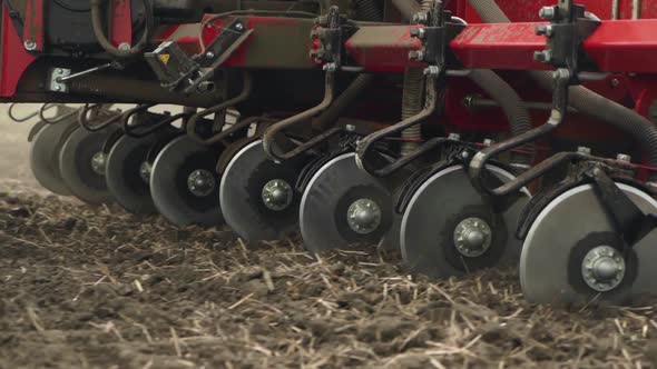 sowing the field with corn grains. tractor works the field with a seeder. close-up