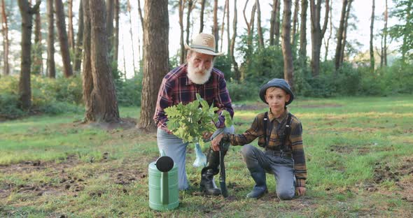 Grandfather and His Grandson Posing on Camera During Planting Young Seedling of oak in the Park