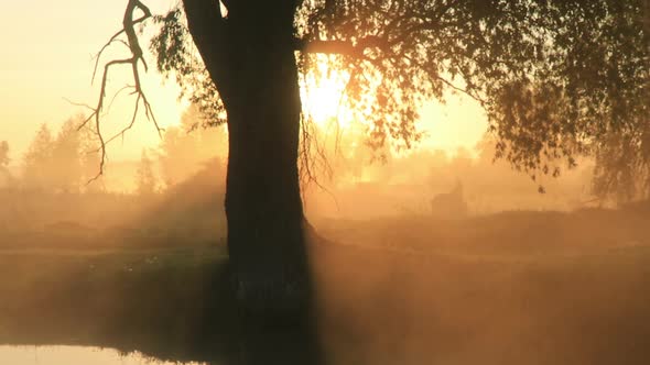 Misty Dawn on the River with the First Sunrays.