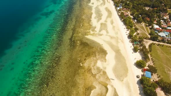 Tropical Beach and Turquoise Sea Philippines,Bohol