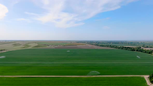 Aerial view of Guns Sprinkler Irrigation System Watering Wheat Field