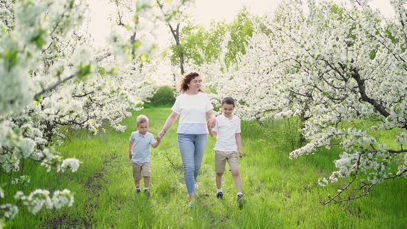 Mother with Sons Walks in Flowering Garden