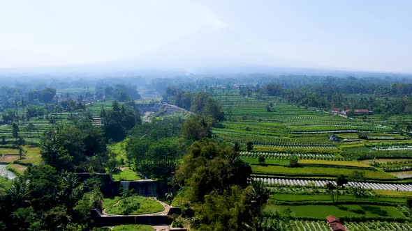 Scenic aerial panorama of rice plantations in Muntilan, Central Java, Indonesia