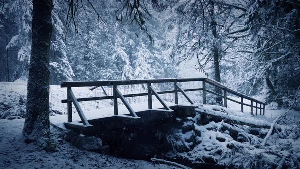 Foot Bridge In Snowy Forest Park