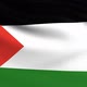 Palestine Flag - VideoHive Item for Sale