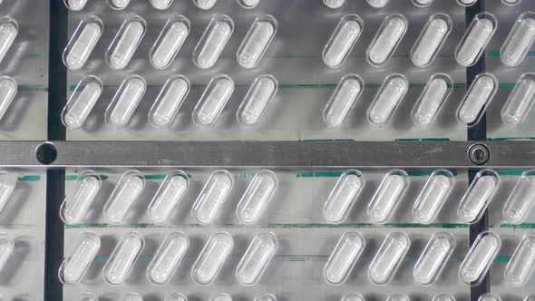Top View of a Conveyor with Capsule Pills Packed Into Blisters