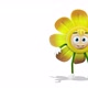 Flower Comes Out From The Right Side Of The Screen And Greeting on White Background - VideoHive Item for Sale