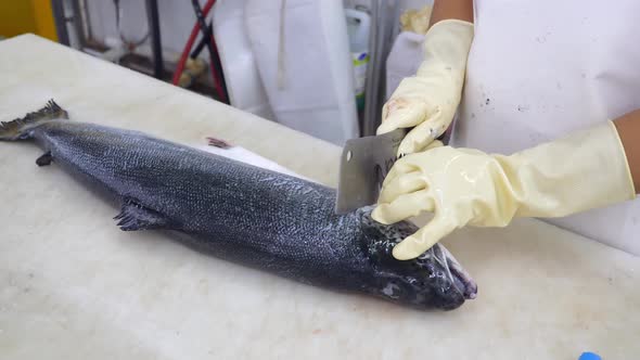 Closeup of Worker Hands Cutting Huge Salmon Carcass By Big Chopping Knife