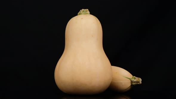 Butternut Squash and half Butternut Squash rotation isolated on black background, Close up.